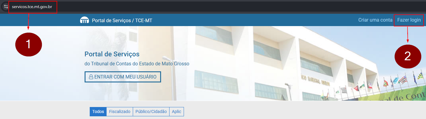 Login-Portal-De-Servicos
